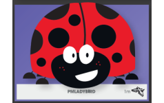 Ladybird